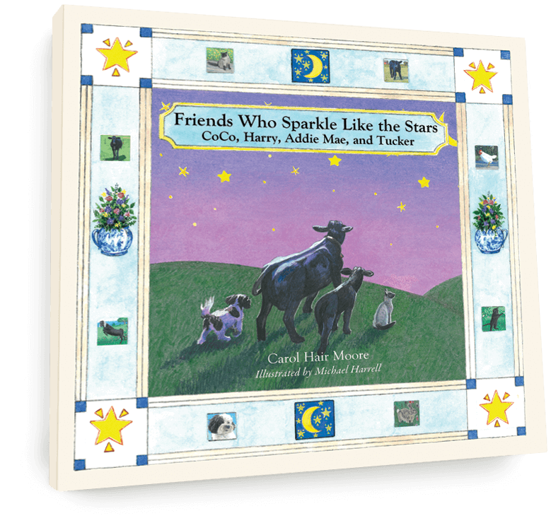Book-Cover-Friends-Who-Sparkle