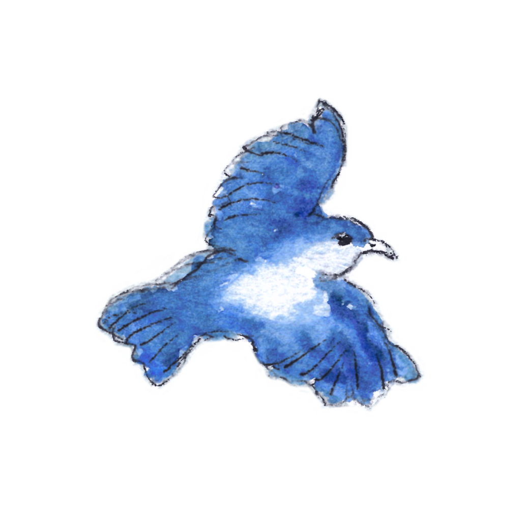IL-Token-Bluebird